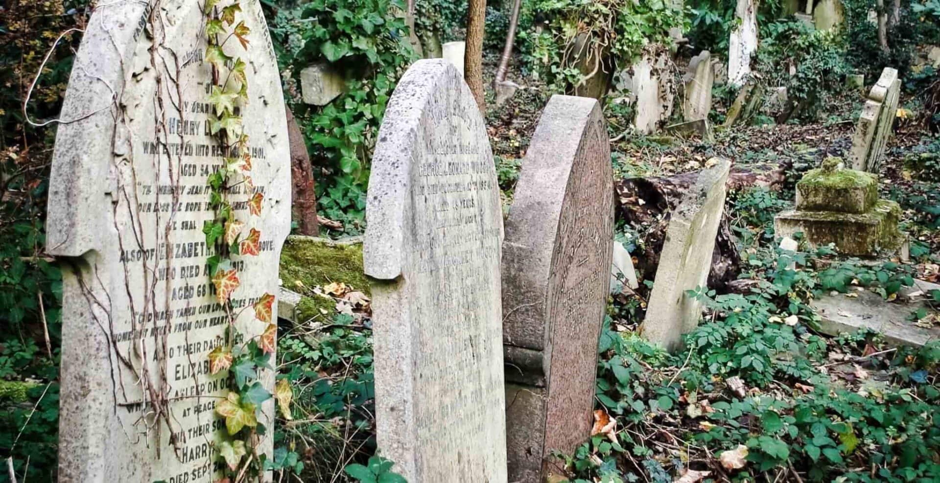 Highgate Cemetery London England