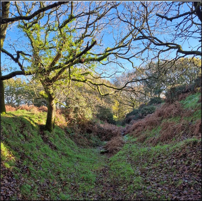 Blackdown Rings trench. Photo by Mike Edwardson.